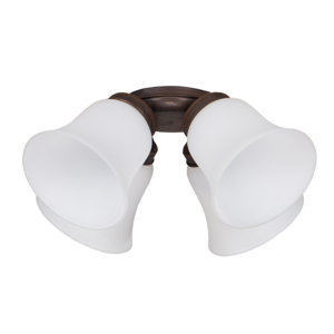 Big Joe 4-Light Branched Ceiling Fan Light Kit