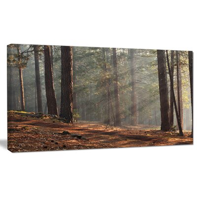 'Rays of Sun in Dense Forest' Photographic Print on Wrapped Canvas Design Art Size: 16