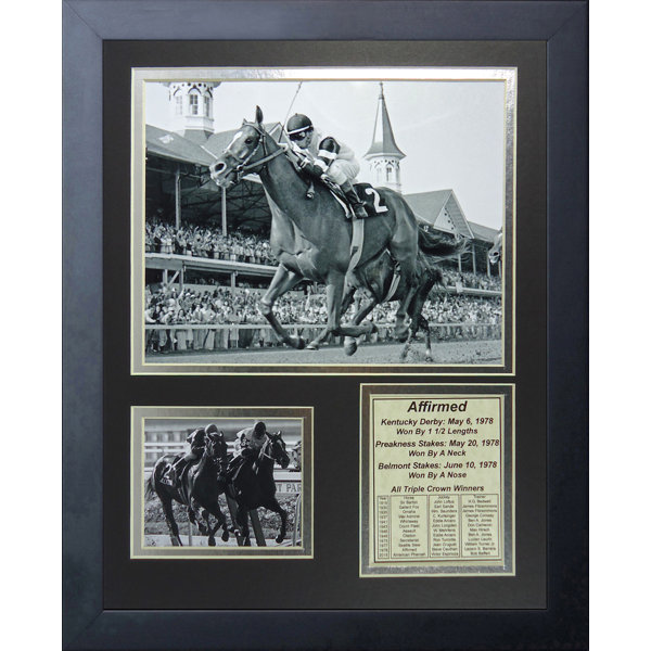 Affirmed 1978 Triple Crown Winner Framed Memorabilia by Legends Never Die