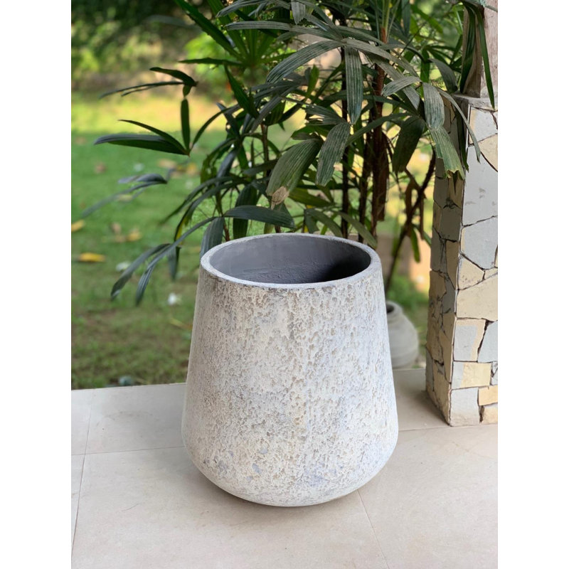 World Menagerie Munroe Concrete Plant Pot Wayfair Co Uk