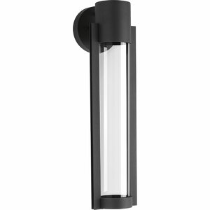 Erick 1-Light Outdoor Sconce