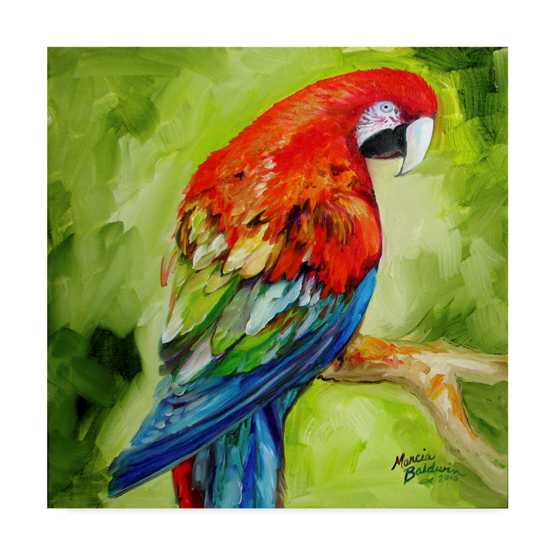 Trademark Art Macaw Tropical Acrylic Painting Print On Wrapped