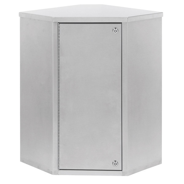 22.75 W x 24 H Wall Mounted Cabinet by Omnimed