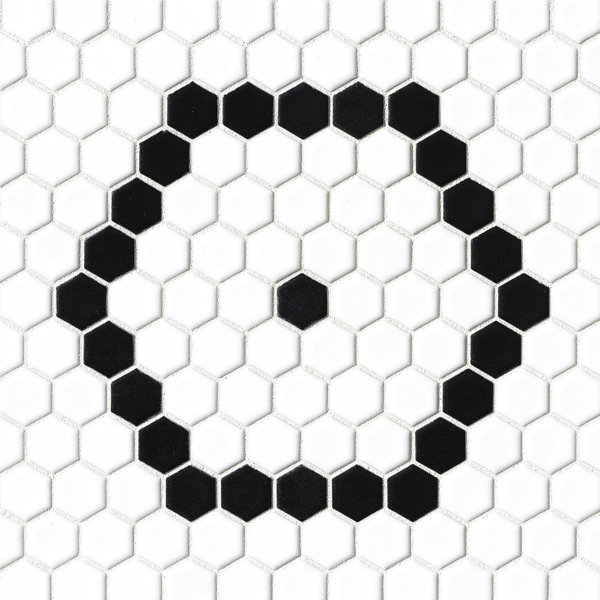Hex 1 x 1 Porcelain Mosaic Tile in White/Black by Grayson Martin