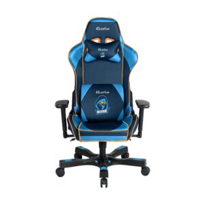 Premium Gaming and Computer Chair