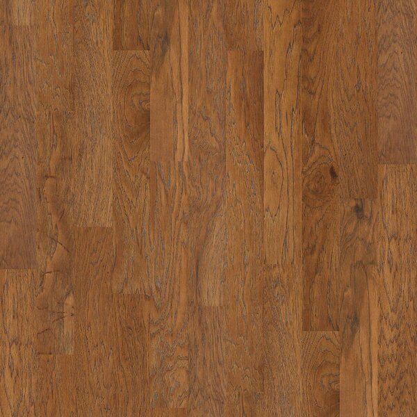 Victorian Hickory 4.8 Engineered  Hickory Hardwood Flooring in Warm Sunset by Shaw Floors