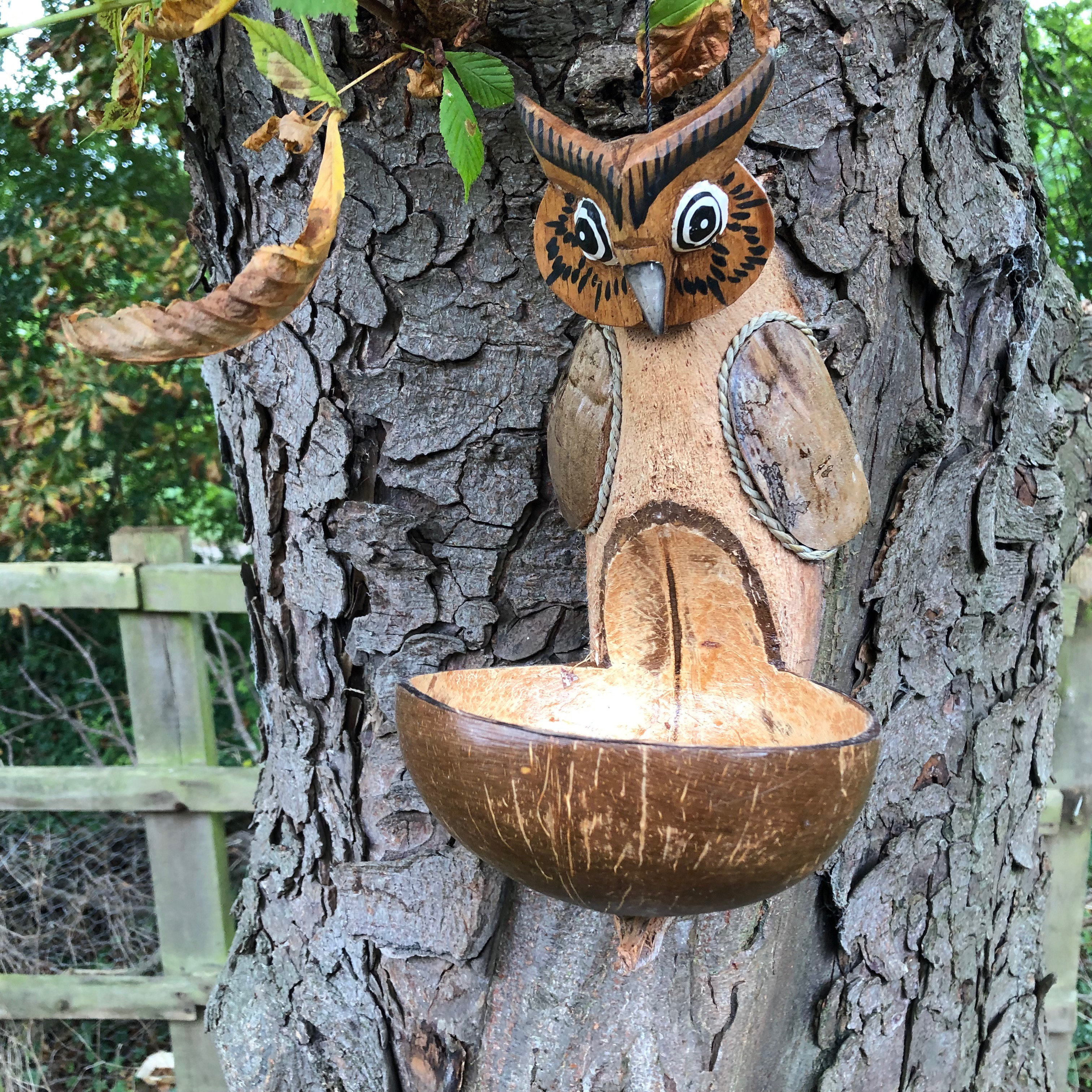 Brambly Cottage Dunbar Hand Craved Owl Decorative Bird Feeder