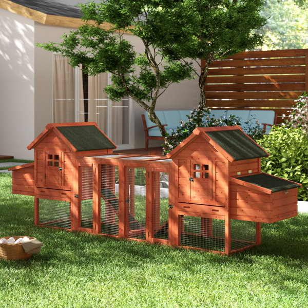 Freddie Duplex Chicken Coop with Outdoor Run by Ar