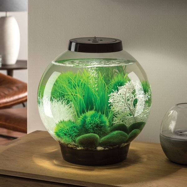 biOrb 4 Gallon Round Fish Bowl | Wayfair