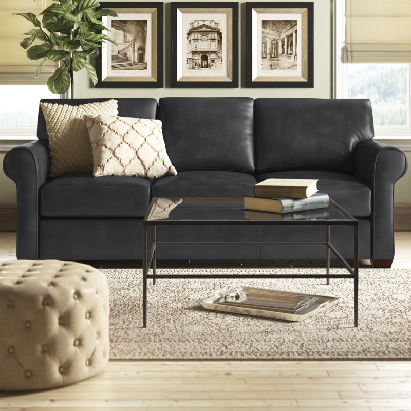 Danica Sofa Bed Reviews Joss Main Danica Sofa Bed Reviews Joss Main