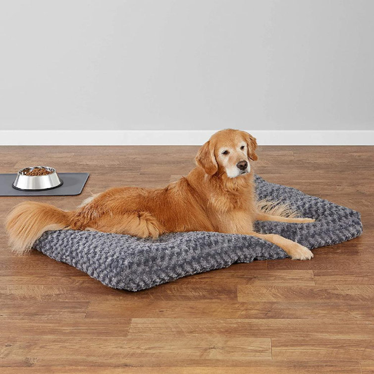 pet cot pad
