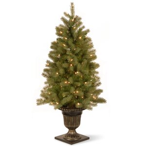 Downswept Douglas Fir 4' Green Fir Entrance Artificial Christmas Tree with 100 Pre-Lit Clear Lights with Urn Base