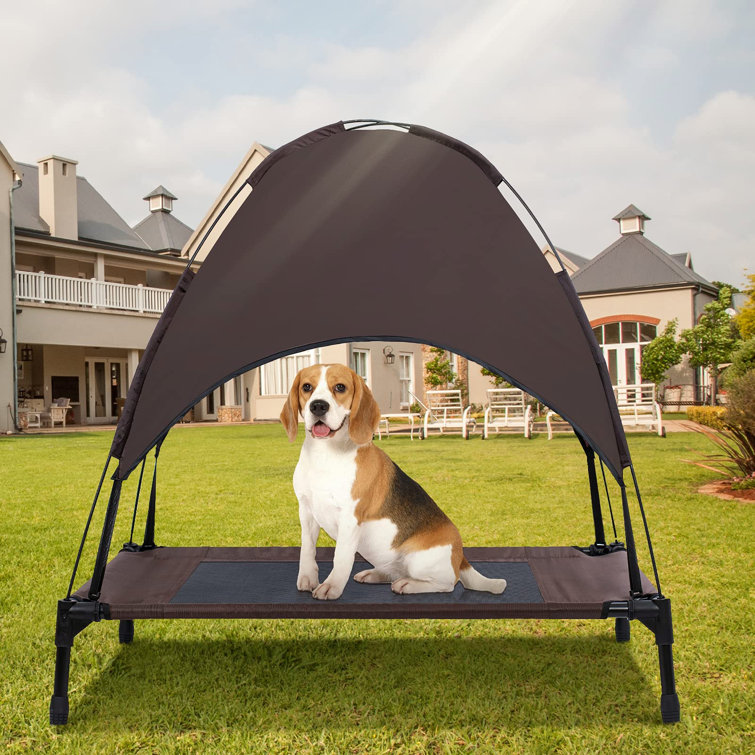 elevated dog bed with canopy