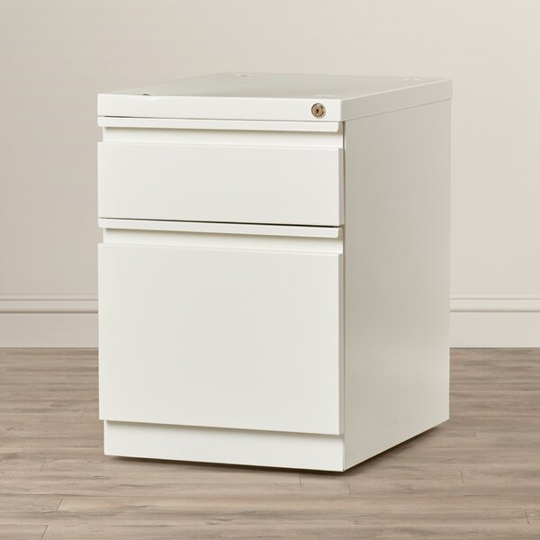 Brusnice 2-Drawer Mobile Vertical File by Latitude Run