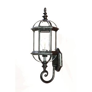 Grenville 1-Light Outdoor Sconce