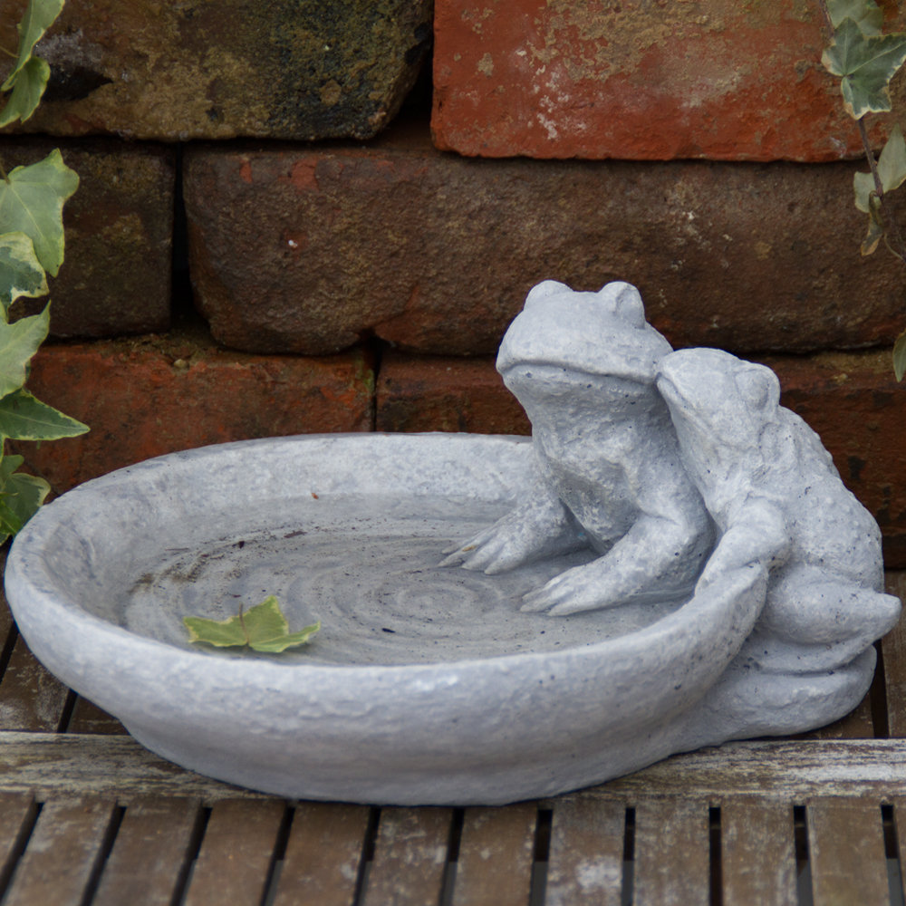 Domenica Frogs Birdbath