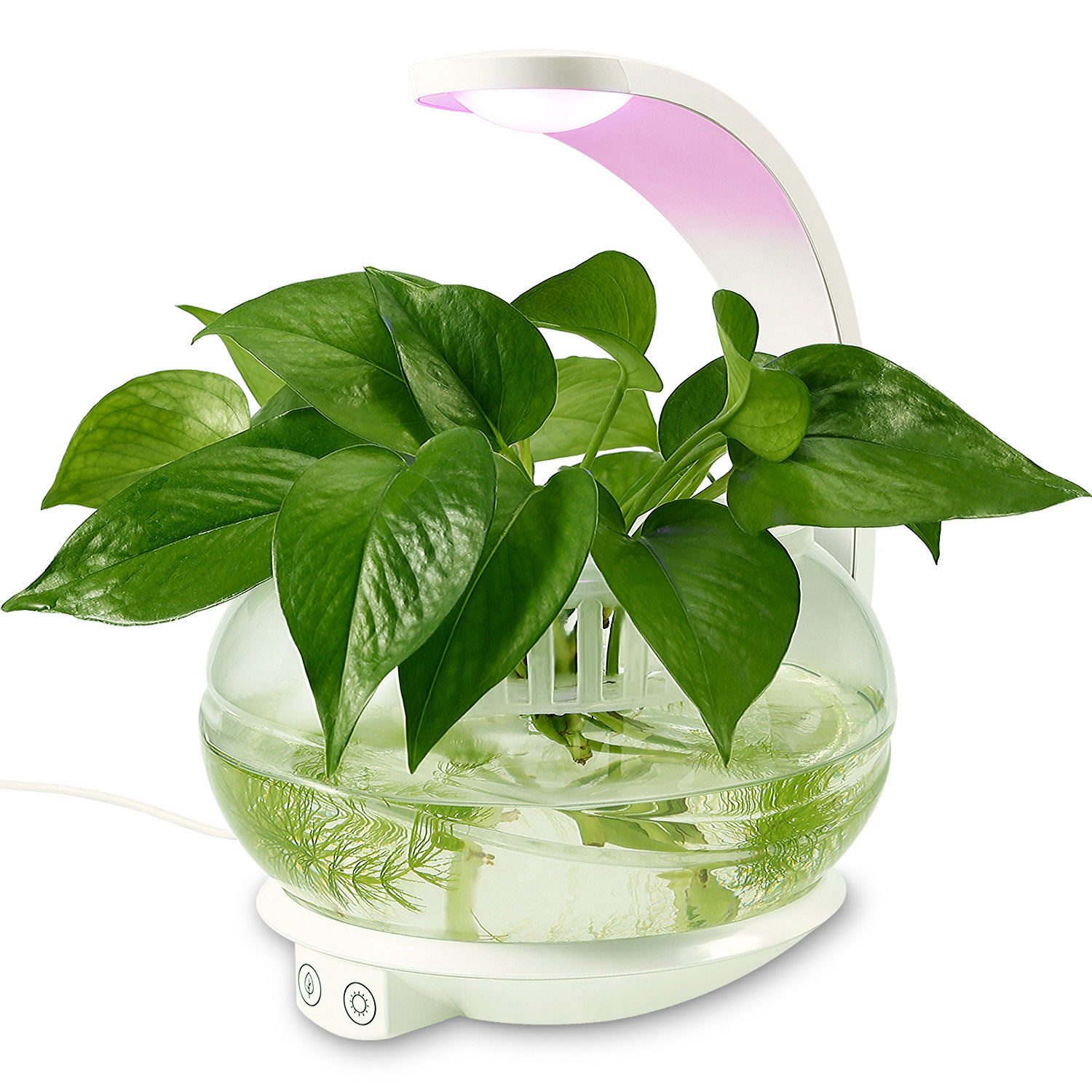 Torchstar Led Indoor Garden Kit Plant Grow Light Wayfair Torchstar Led Indoor Garden Kit Plant