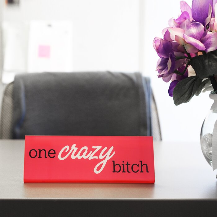 One Crazy Bitch Pink Novelty Acrylic Name Plate Desk Plaque Office Gag Gift Funny Joke
