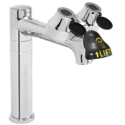 Eyesaver Laboratory Faucet With Integrated Emergency Eyewash And 8