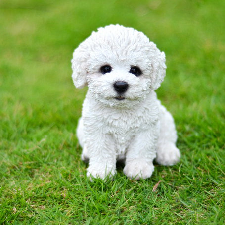 Hi Line Gift Ltd Sitting Bichon Frise Puppy Statue Reviews Wayfair Ca