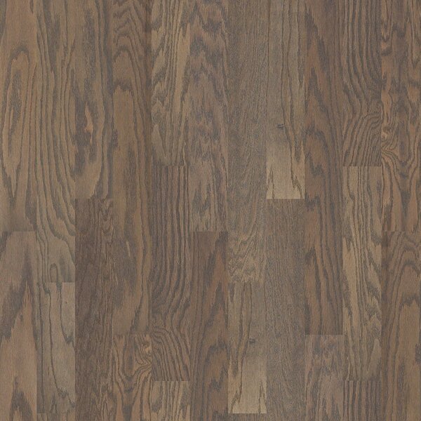 Oak Grove 5 Engineered Red Oak Hardwood Flooring in Gray by Shaw Floors