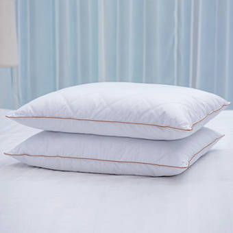 Lauren Ralph Lauren Arctic Down And Feathers Pillow Reviews