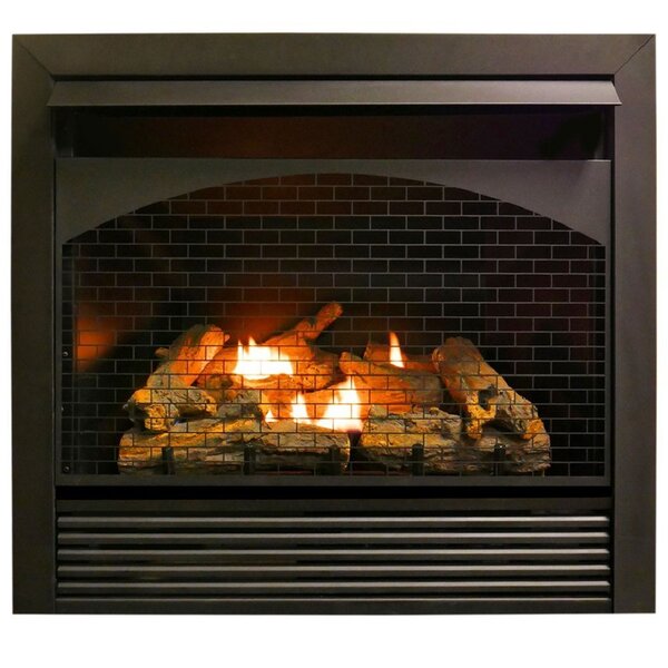 Free Shipping Heating Zero Clearance Vent Free Propane/Natural Gas Fireplace Insert