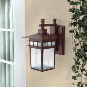 Hannon 1-Light Outdoor Wall Lantern