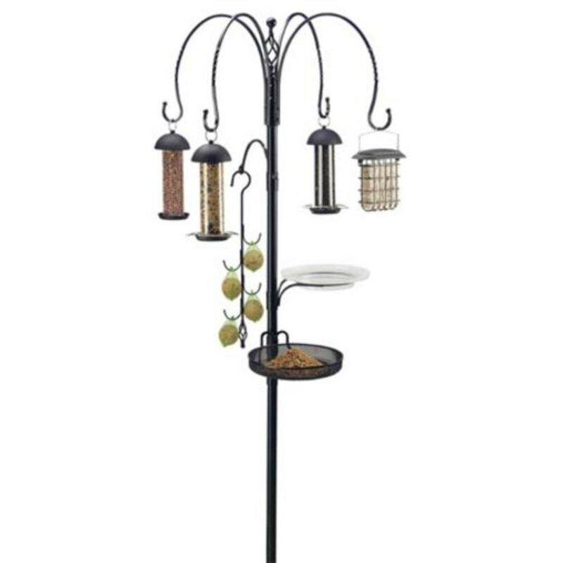 Gardman Complete Bird Feeding Station Kit & Reviews | Wayfair