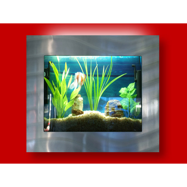 Aussie 4 Gallon Wall Mounted Aquarium Tank by Vandue Corporation