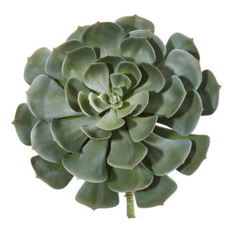 8 Set of 3 Assorted Artificial Succulent Stem Picks