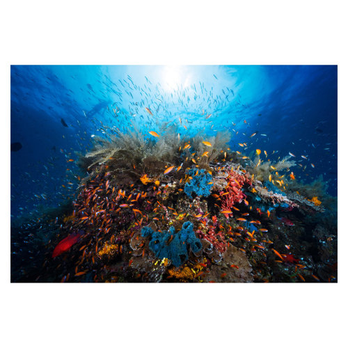 Underwater Lagoon 1.9m x 2.88m Textured Matte Peel & Stick Wall Mural East Urban Home
