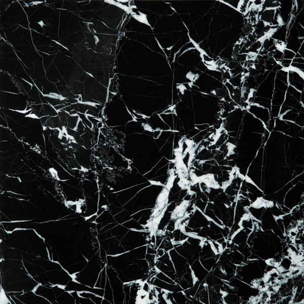 Marble 12 x 12 Field Tile in Black & White by Emser Tile