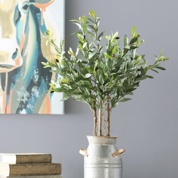 Olive Tree in Pot by Laurel Foundry Modern Farmhouse