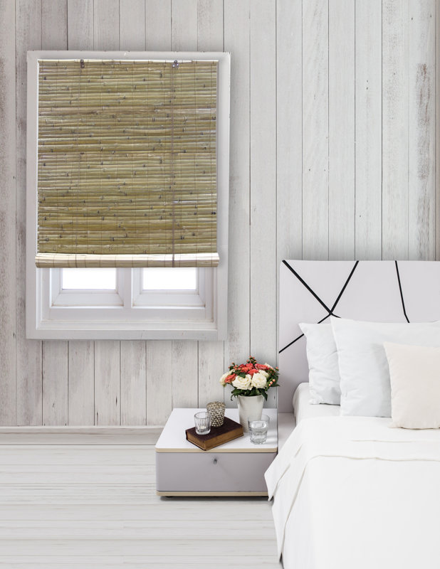 Radiance Laguna Sheer Green RollUp Shade & Reviews Wayfair