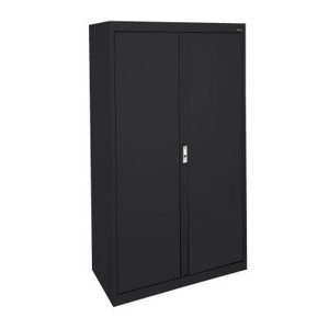 Systems Series 2 Door Storage Cabinet