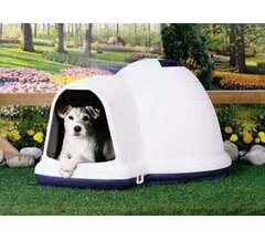 small dog igloo