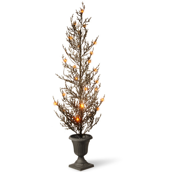 Halloween Tree with Lights by National Tree Co.