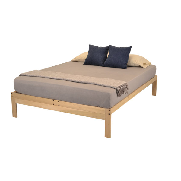Wynter Plus Platform Bed by Winston Porter