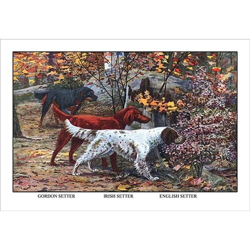 Protected by Irish Setter Dog Window Sign Made in USA