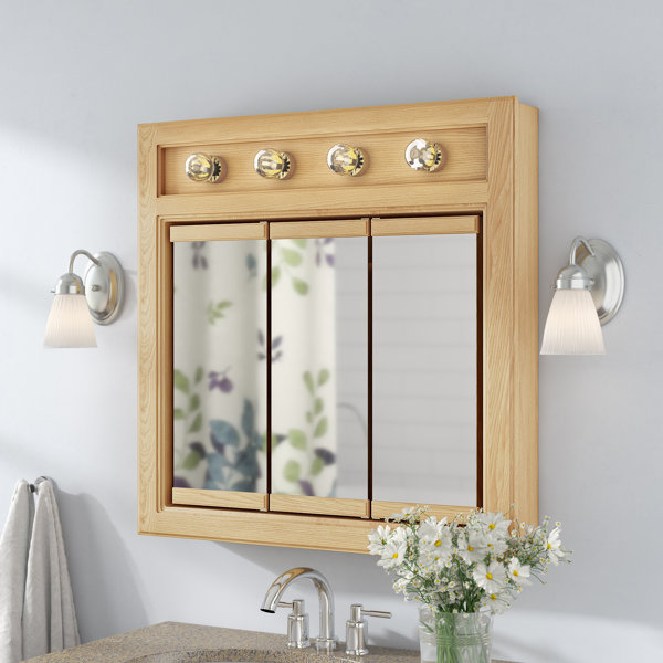 Searle Surface Mount Framed 3 Door Medicine Cabinet with 2 Adjustable Shelves and Lighting