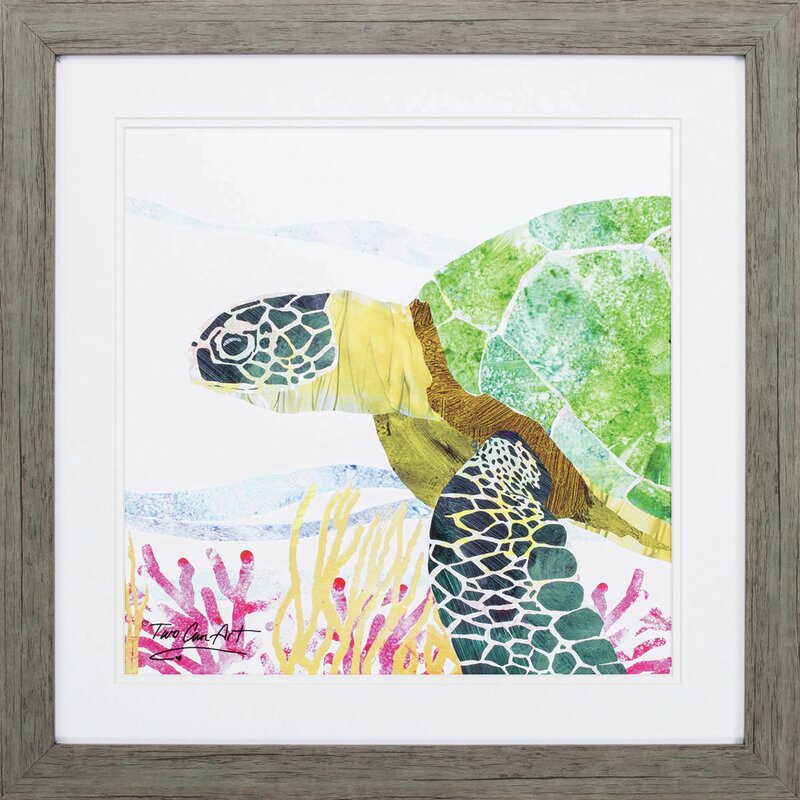 Bay Isle Home 'Sea Creature Turtle' Framed Print | Wayfair
