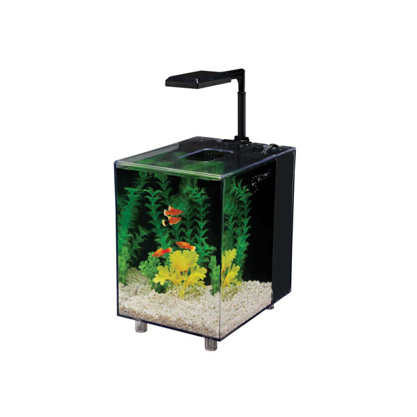 Prism 2 Gallon Desktop Aquarium Tank by Penn Plax