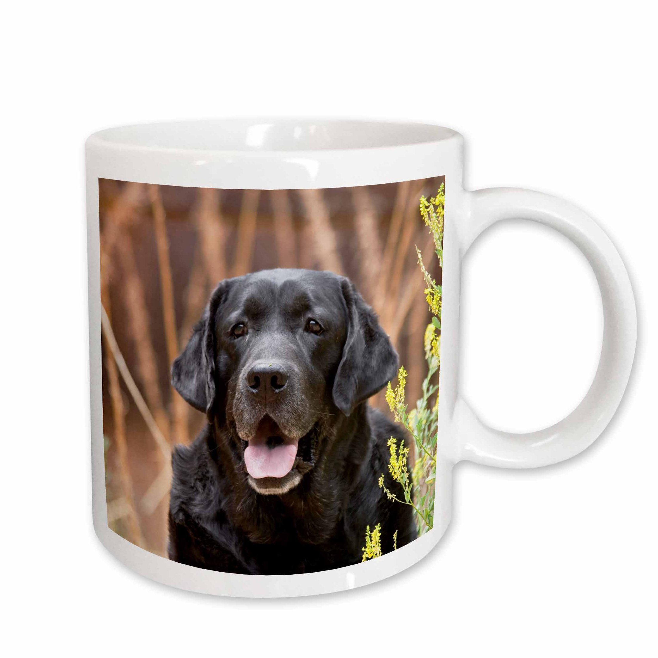 labrador retriever coffee mugs