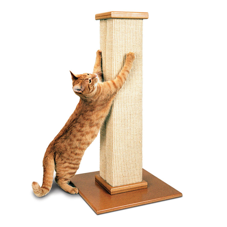wayfair cat scratching post