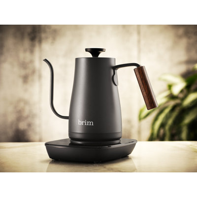 Brim 0.8L Stainless Steel Gooseneck Kettle brim Color: Black