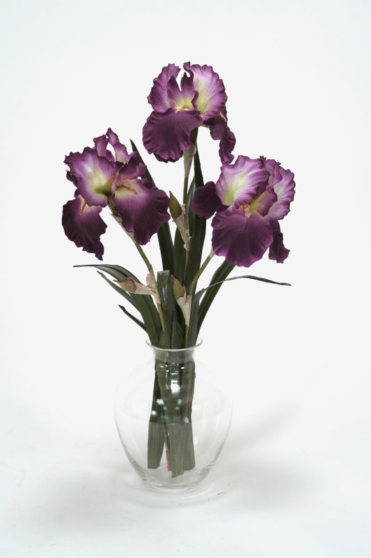 Distinctive Designs Waterlook Amethyst Bearded Iris with Blades in