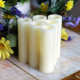Candles For Fireplace Wayfair Ca