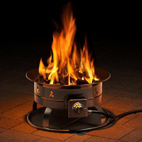 Heininger Portable Propane Outdoor Fire Pit Reviews Wayfair