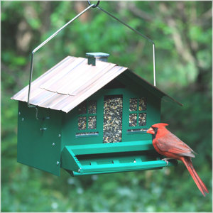 Squirrel-Be-Gone Home Style Hopper Bird Feeder
